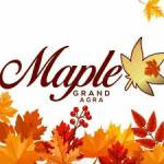 Maple Grand