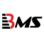 BMS Auditing